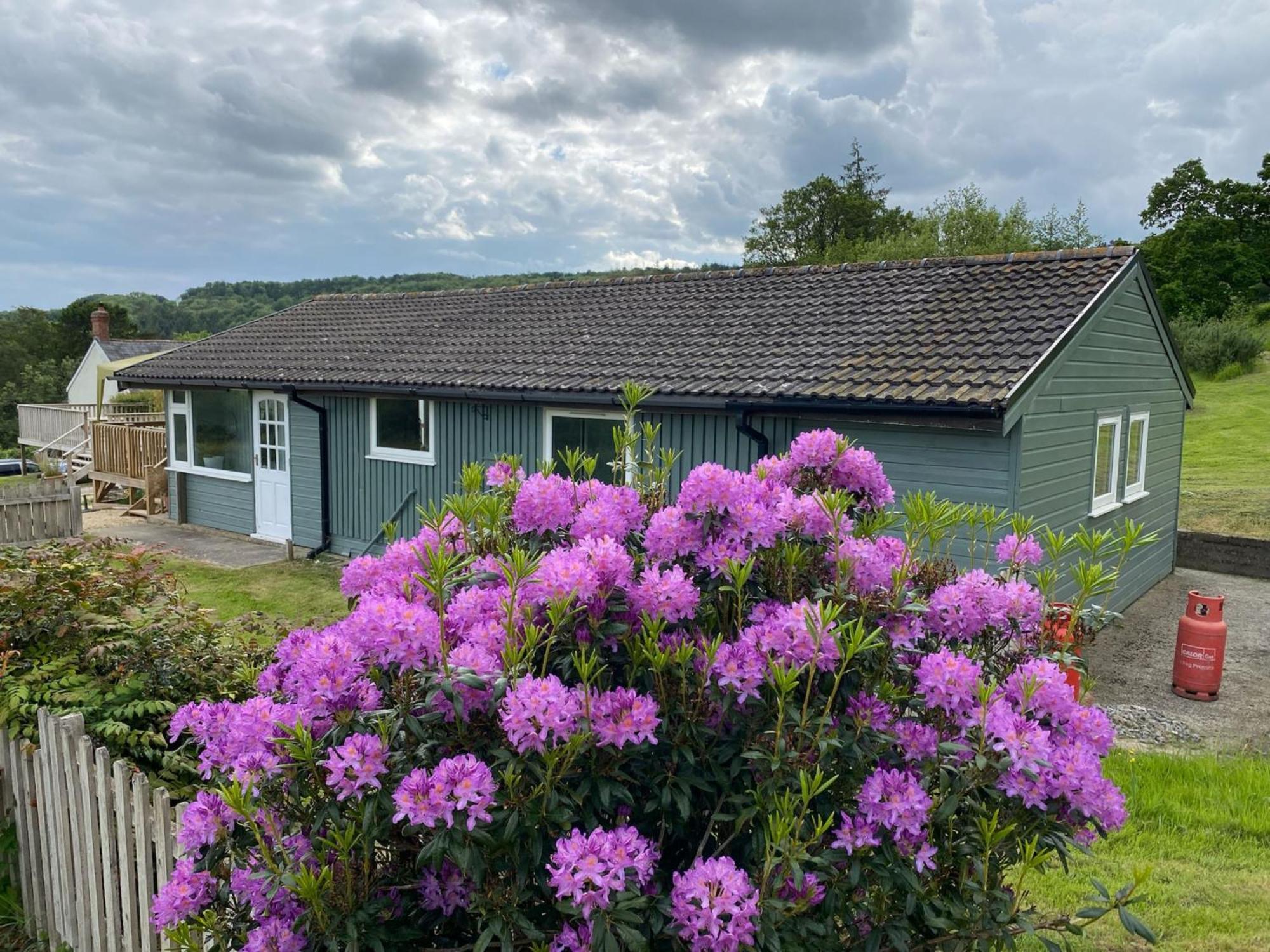 Hillside Lodge Honiton Exterior foto